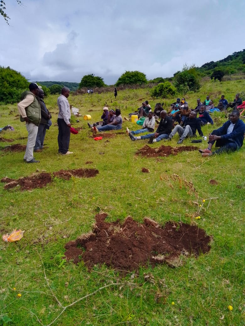 Participants planting trees at Ngong Hills